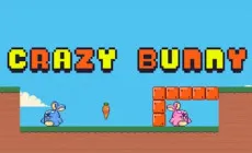 Play Crazy Bunny now!