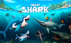 Crazy Shark