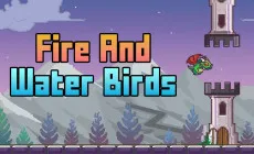 Play Fire And Water Birds now!