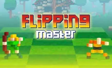 Flipping Master