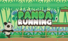 Panda Running