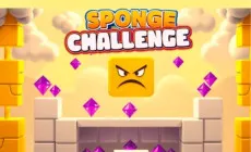 Play Sponge Challenge now!