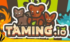Taming.io